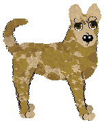 Profile image of Wild Road/Mockingbird's Quiet Grace