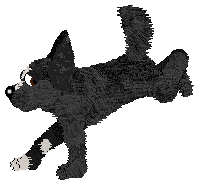 FH/Mockingbird's Skyborne Secret — “Ptitsa”