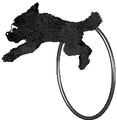 FH/Mockingbird's Skyborne Secret — “Ptitsa”