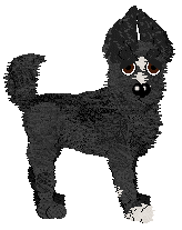 FH/Mockingbird's Skyborne Secret — “Ptitsa”