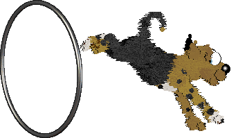 Shipwreck/Mockingbird's Masquerade Trix — “Puck”