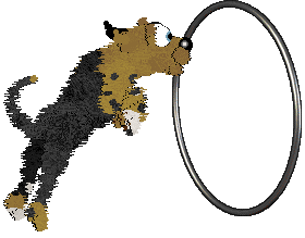 Shipwreck/Mockingbird's Masquerade Trix — “Puck”