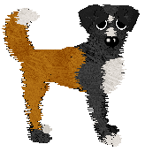 Profile image of Sz's Lantern Glow @ Mockingbird