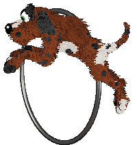 Just Dandy's Drone Phone @ Mockingbird — “Sensation”