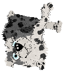 Sungraze Stone Cathedral @ Mockingbird — “Vierges”