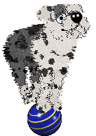 Sungraze Stone Cathedral @ Mockingbird — “Vierges”