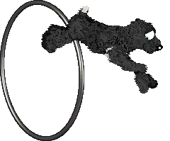 Medusa/King's Sleep Deprivation — “Slippers”