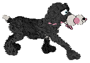 Medusa/King's Sleep Deprivation — “Slippers”