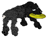 Medusa/King's Sleep Deprivation — “Slippers”