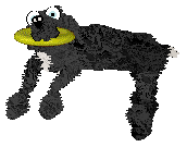 Medusa/King's Sleep Deprivation — “Slippers”