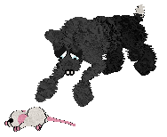 Medusa/King's Sleep Deprivation — “Slippers”