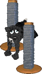 Medusa/King's Sleep Deprivation — “Slippers”