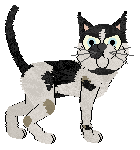 Profile image of Sungraze/Mockingbird's Three Days Grace