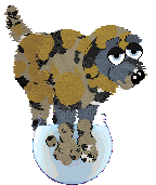 Sungraze/Mockingbird's Written in Silver — “Zhane”