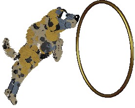 Sungraze/Mockingbird's Written in Silver — “Zhane”