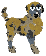 Sungraze/Mockingbird's Written in Silver — “Zhane”