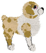 Wild Road/Tangled's Pronounced with a Y — “Jarli”