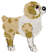 Wild Road/Tangled's Pronounced with a Y — “Jarli”