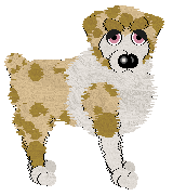 Profile image of Wild Road/Tangled's Pronounced with a Y