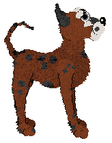 Rachel/Tangled's Double Deluxe — “Deluxe”