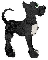 FDL/Tangled's White Nordic Cross on a Field of Red — “Dannebrog”