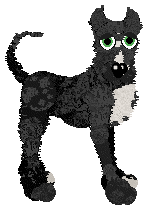 FDL/Tangled's White Nordic Cross on a Field of Red — “Dannebrog”