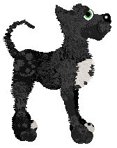 FDL/Tangled's White Nordic Cross on a Field of Red — “Dannebrog”