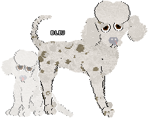 Profile image of Moss Rose/EC's Bleu Can Do