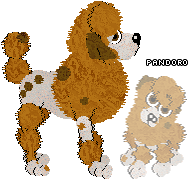 Profile image of Moss Rose/EC's Pandoro