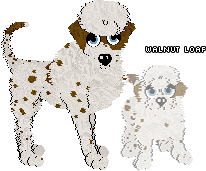 Profile image of Moss Rose/EC's Walnut Loaf