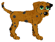 Profile image of Chestnut's These Spots Aint Nothin