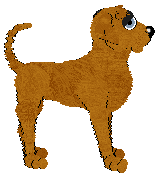 Chestnut's Standing Tall — “Titus”