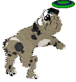 Hiraeth's Dust Magic — “Elf”