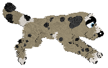 Hiraeth's Dust Magic — “Elf”