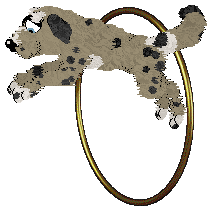 Hiraeth's Dust Magic — “Elf”