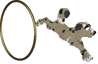 Hiraeth's Dust Magic — “Elf”