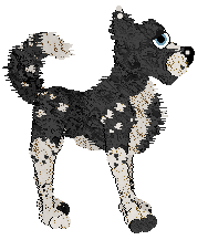 Amenity/King's The Demon Known as Jessie — “Cowgirl”