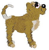 Profile image of Cargo/King's His Head in the Twilight Zone