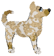 Profile image of King's I See Victory