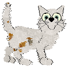 Profile image of Chau/King's Juicebox