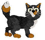 Wild Road/King's One More Time — “Trike”