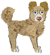 Heirloom Family Circle — “Rich Tea”