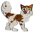 Beefy'z Miss Hissteroscopy — “Cramp”