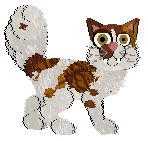 Profile image of Beefy'z Miss Hissteroscopy