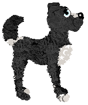 Amphigory's Obsidian Frost — “Obi”