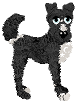 Amphigory's Obsidian Frost — “Obi”