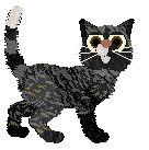 Beefy'z Une vie à t'aimer — “Verso”