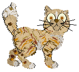 Funfetti/Tangled's A New Religion — “Solenne”