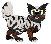 Tangle's Winner Winner Chicken Dinner — “Chicki”