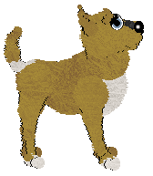 Sz/Witz's Not Quite a Lover — “Frenemy”